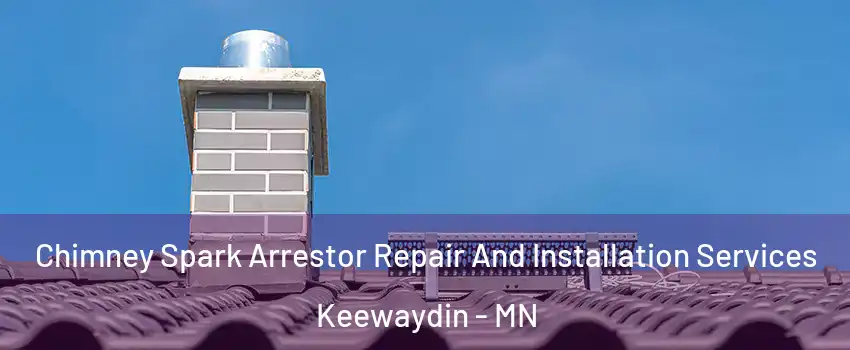Chimney Spark Arrestor Repair And Installation Services Keewaydin - MN
