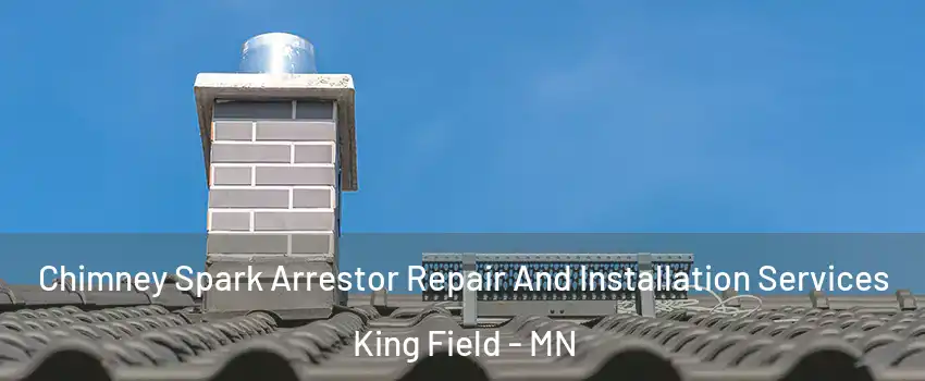 Chimney Spark Arrestor Repair And Installation Services King Field - MN