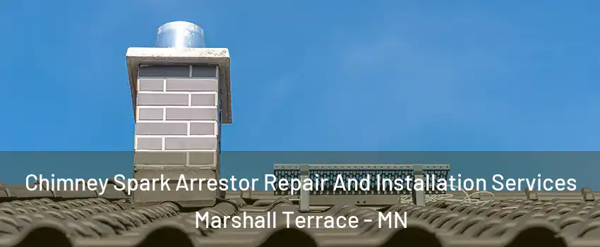 Chimney Spark Arrestor Repair And Installation Services Marshall Terrace - MN