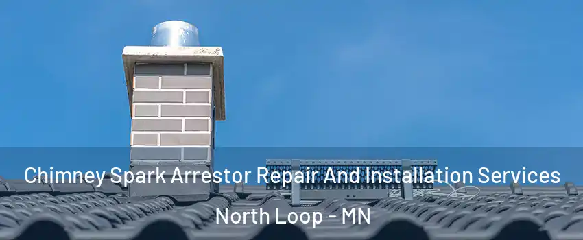 Chimney Spark Arrestor Repair And Installation Services North Loop - MN