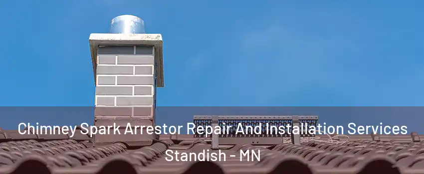 Chimney Spark Arrestor Repair And Installation Services Standish - MN