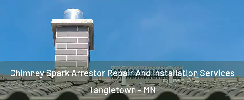Chimney Spark Arrestor Repair And Installation Services Tangletown - MN