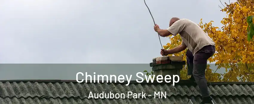 Chimney Sweep Audubon Park - MN