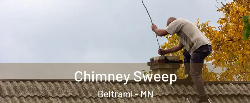 Chimney Sweep Beltrami - MN