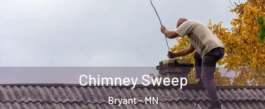 Chimney Sweep Bryant - MN
