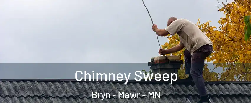 Chimney Sweep Bryn - Mawr - MN