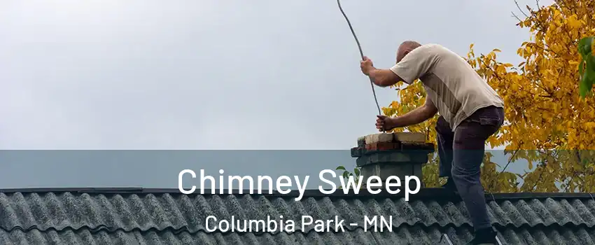 Chimney Sweep Columbia Park - MN