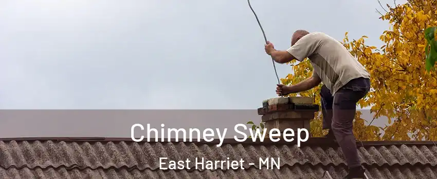 Chimney Sweep East Harriet - MN