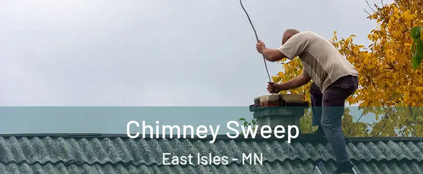 Chimney Sweep East Isles - MN