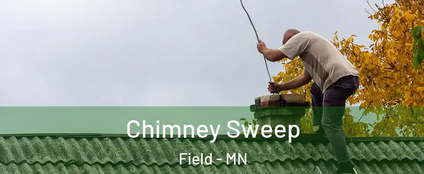 Chimney Sweep Field - MN