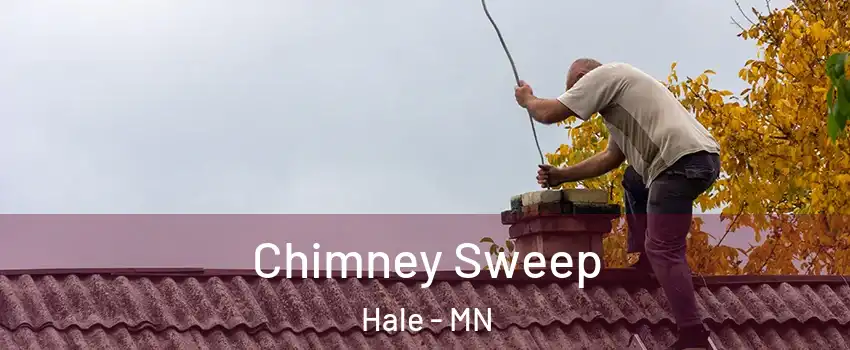Chimney Sweep Hale - MN