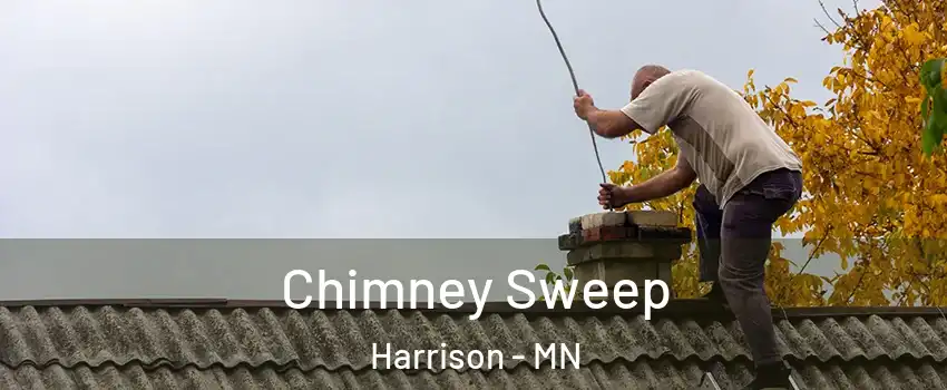 Chimney Sweep Harrison - MN