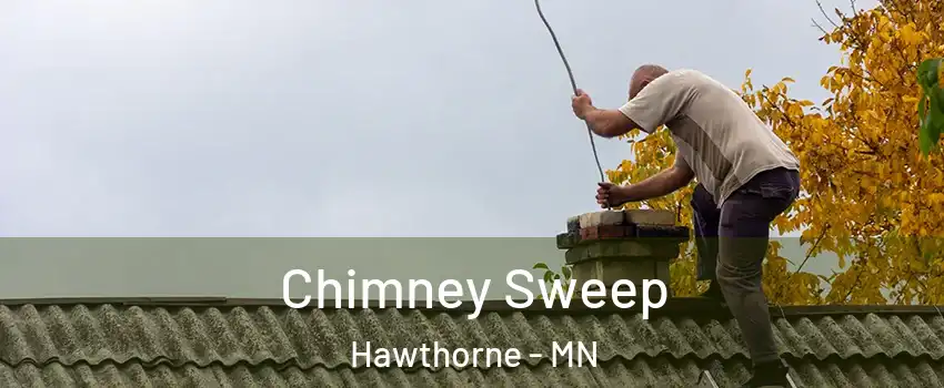Chimney Sweep Hawthorne - MN