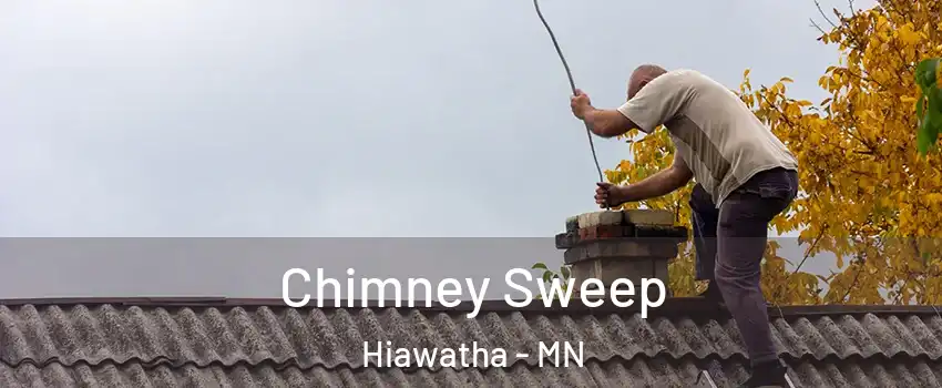 Chimney Sweep Hiawatha - MN