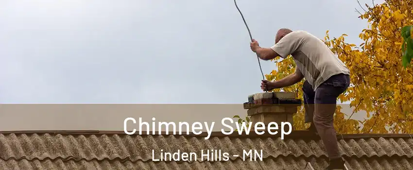 Chimney Sweep Linden Hills - MN