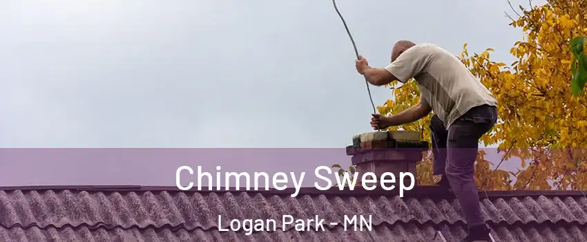 Chimney Sweep Logan Park - MN