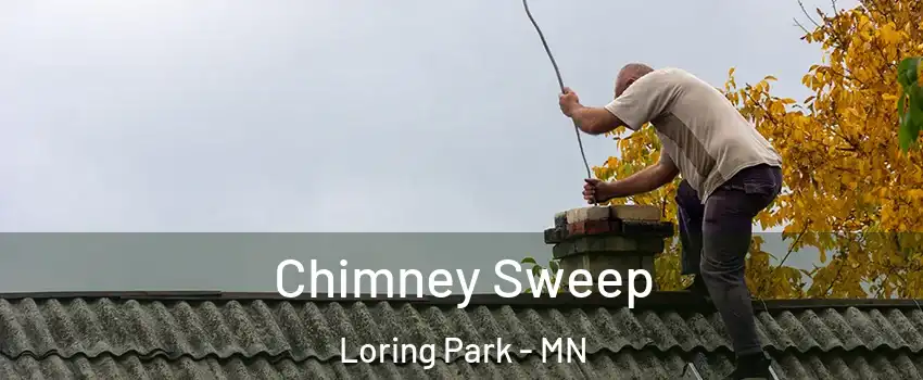 Chimney Sweep Loring Park - MN