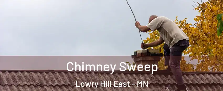 Chimney Sweep Lowry Hill East - MN