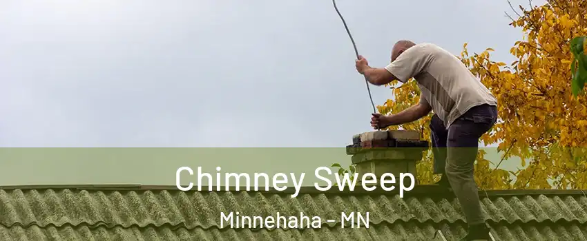 Chimney Sweep Minnehaha - MN