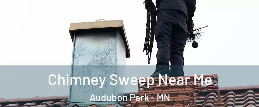 Chimney Sweep Near Me Audubon Park - MN