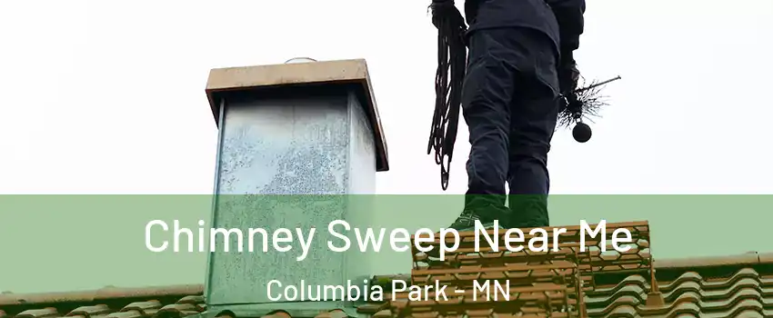 Chimney Sweep Near Me Columbia Park - MN