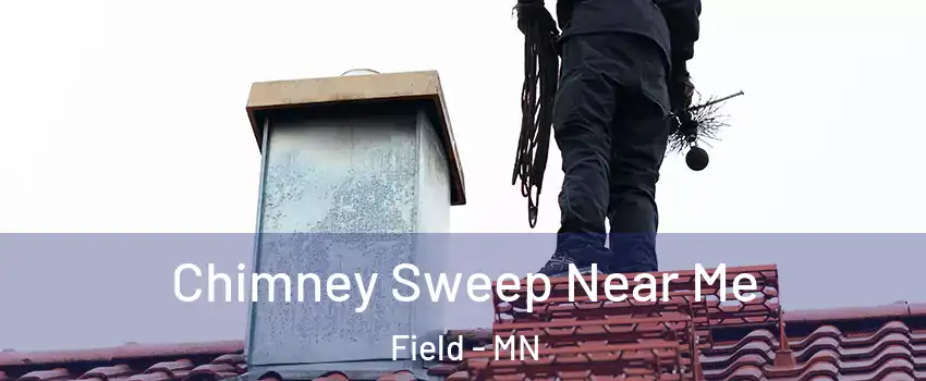 Chimney Sweep Near Me Field - MN