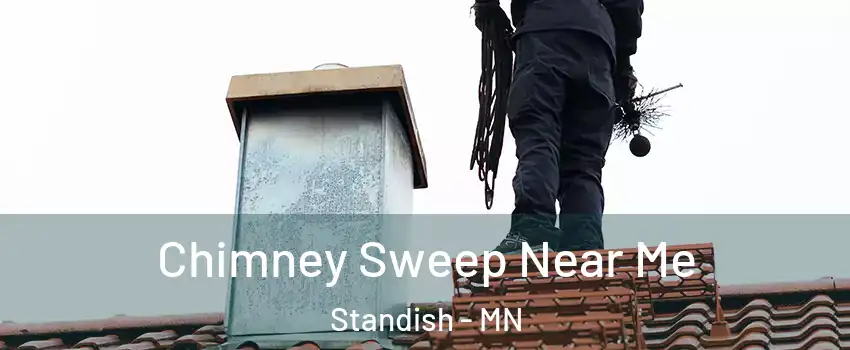 Chimney Sweep Near Me Standish - MN