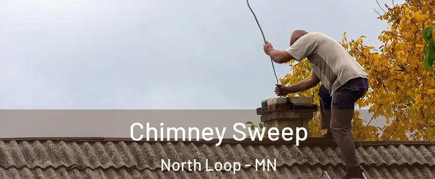Chimney Sweep North Loop - MN