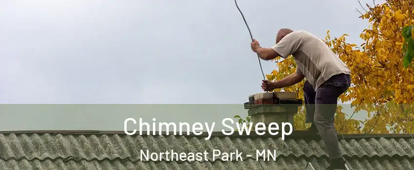 Chimney Sweep Northeast Park - MN