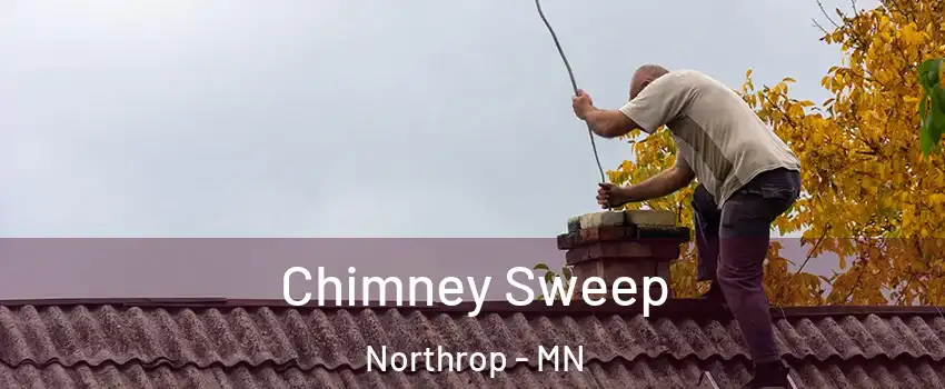 Chimney Sweep Northrop - MN