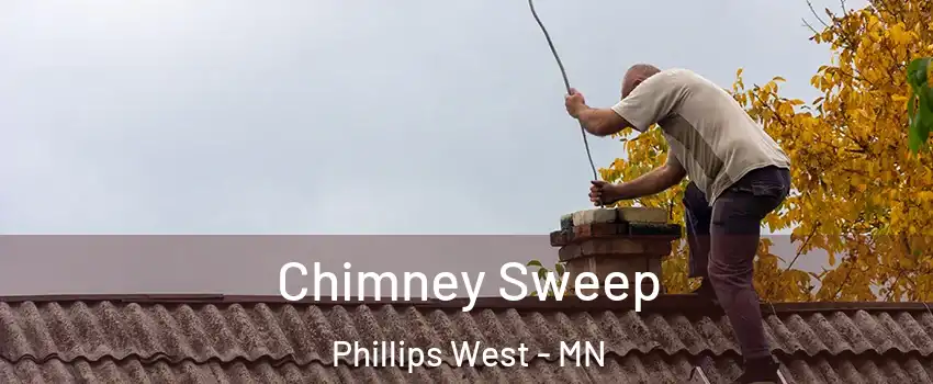 Chimney Sweep Phillips West - MN