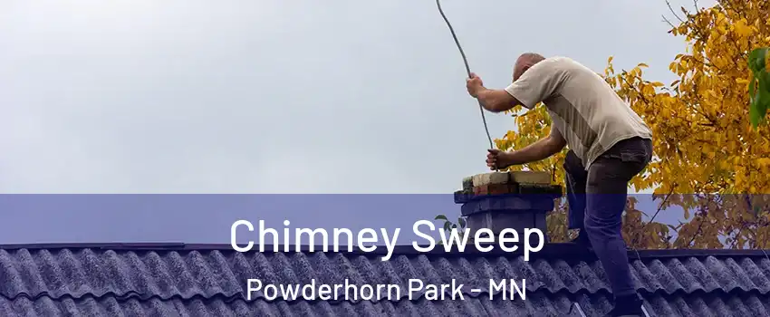 Chimney Sweep Powderhorn Park - MN