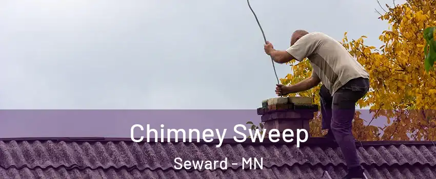 Chimney Sweep Seward - MN