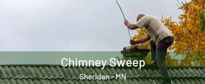 Chimney Sweep Sheridan - MN