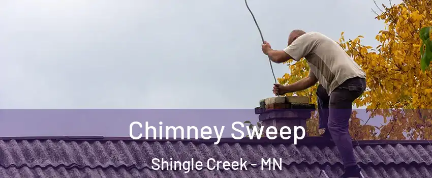 Chimney Sweep Shingle Creek - MN