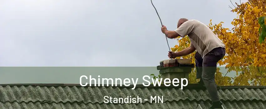 Chimney Sweep Standish - MN