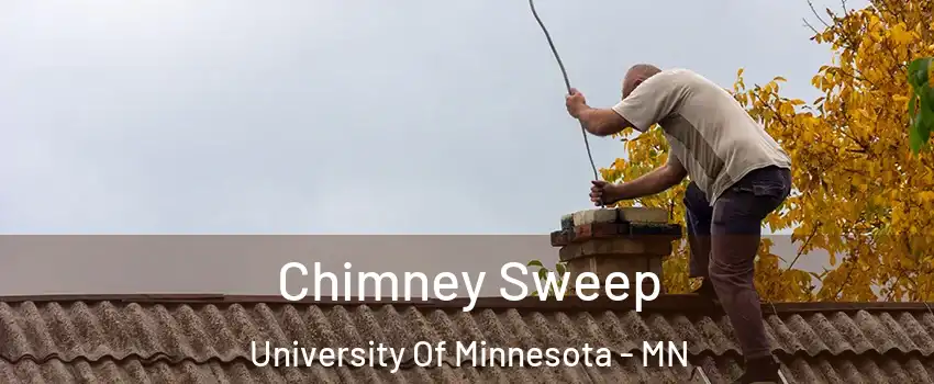 Chimney Sweep University Of Minnesota - MN