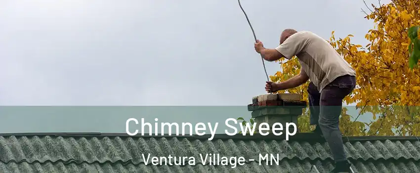 Chimney Sweep Ventura Village - MN