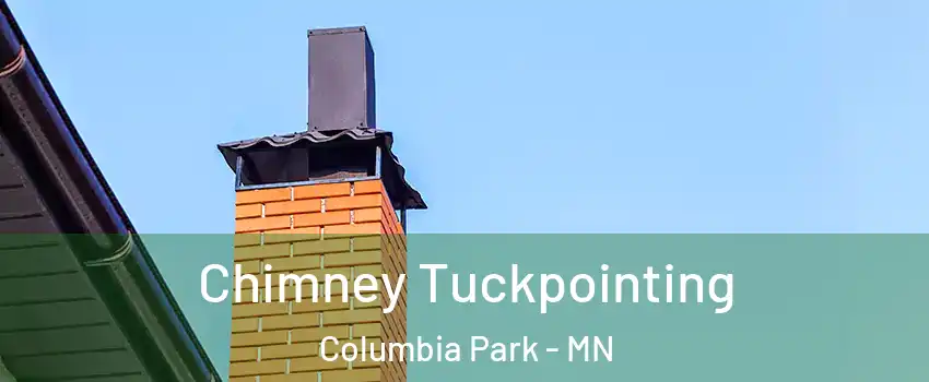 Chimney Tuckpointing Columbia Park - MN