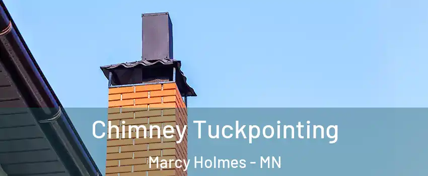 Chimney Tuckpointing Marcy Holmes - MN