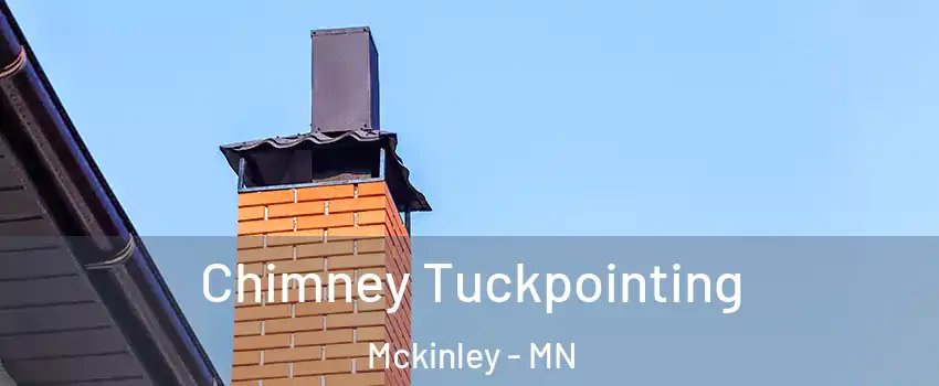 Chimney Tuckpointing Mckinley - MN