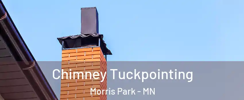 Chimney Tuckpointing Morris Park - MN