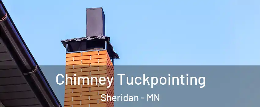 Chimney Tuckpointing Sheridan - MN