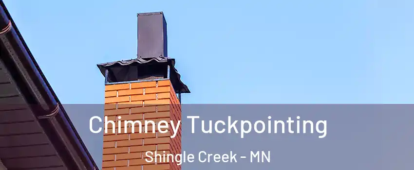 Chimney Tuckpointing Shingle Creek - MN
