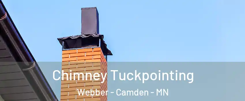 Chimney Tuckpointing Webber - Camden - MN