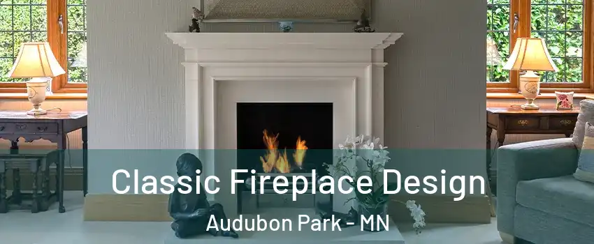 Classic Fireplace Design Audubon Park - MN