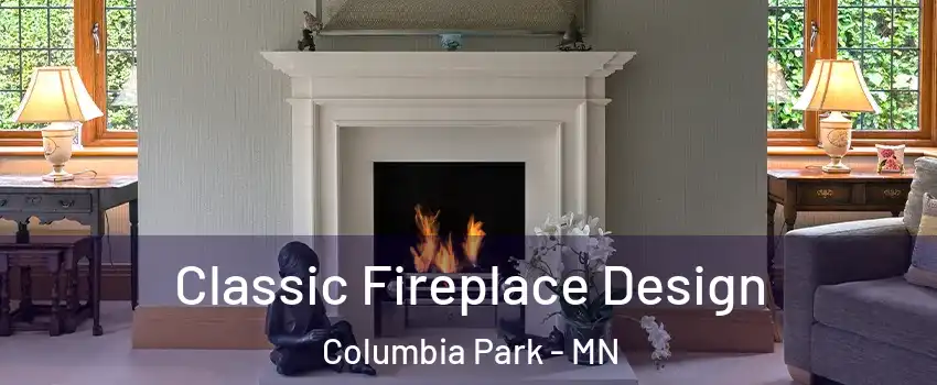 Classic Fireplace Design Columbia Park - MN