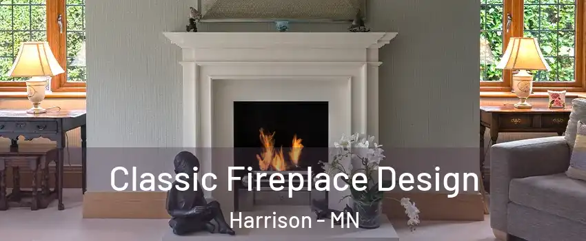 Classic Fireplace Design Harrison - MN