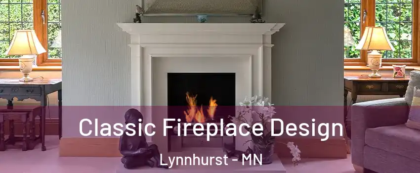Classic Fireplace Design Lynnhurst - MN