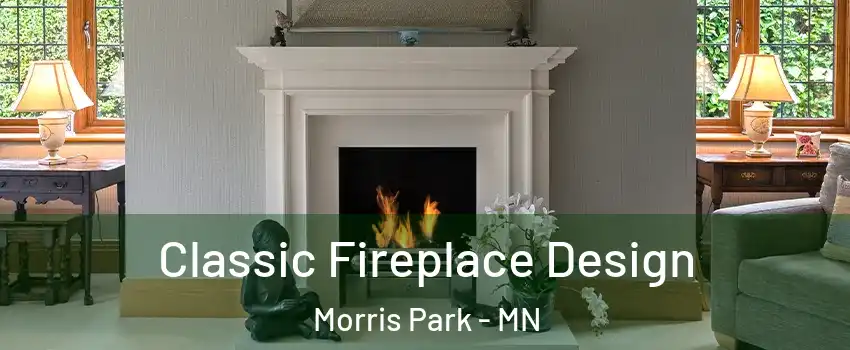 Classic Fireplace Design Morris Park - MN